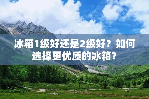 冰箱1级好还是2级好？如何选择更优质的冰箱？