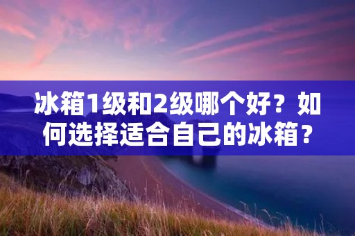 冰箱1级和2级哪个好？如何选择适合自己的冰箱？