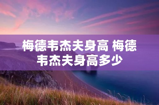 梅德韦杰夫身高 梅德韦杰夫身高多少