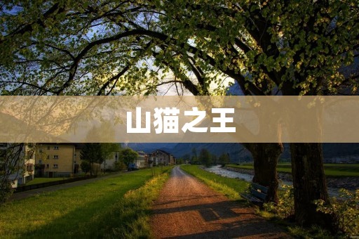 山猫之王:探寻野外猫科动物的生态习性 山猫之王:探寻野外猫科动物的生态习性