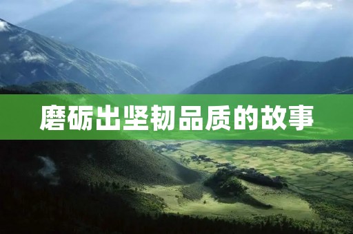 磨砺出坚韧品质的故事 磨砺出坚韧品质的故事
