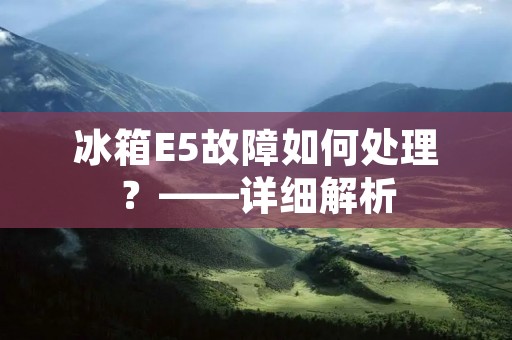 冰箱E5故障如何处理？——详细解析
