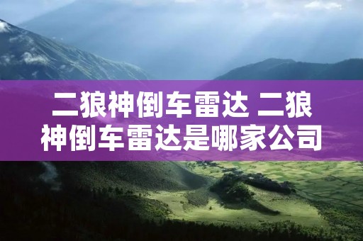二狼神倒车雷达 二狼神倒车雷达是哪家公司的