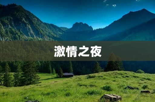 **之夜:一场燃烧灵魂的盛宴 **之夜:一场燃烧灵魂的盛宴