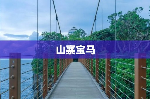 山寨宝马:低价之下的质量危机 山寨宝马:低价之下的质量危机