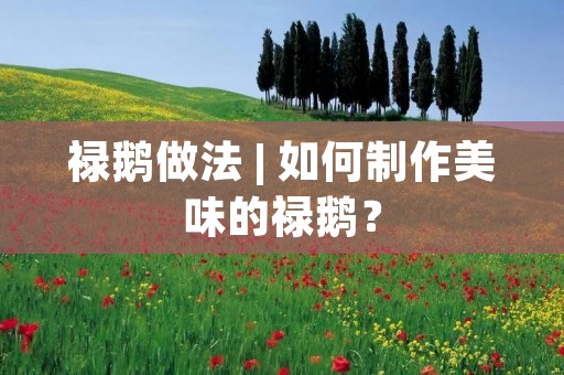 禄鹅做法 | 如何制作美味的禄鹅? 禄鹅做法 | 如何制作美味的禄鹅?