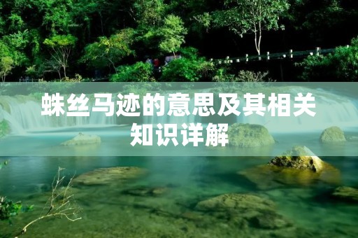蛛丝马迹的意思及其相关知识详解