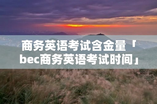 商务英语考试含金量「bec商务英语考试时间」