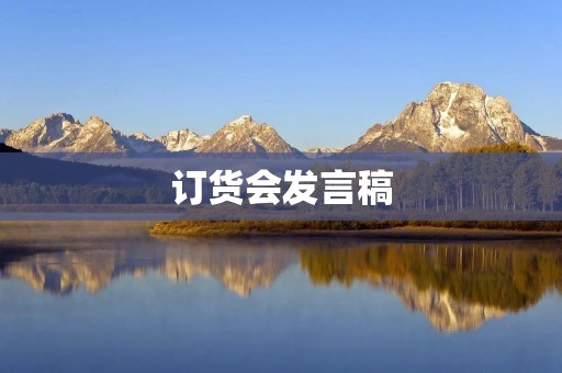 订货会发言稿:把握市场机遇,加强品牌建设