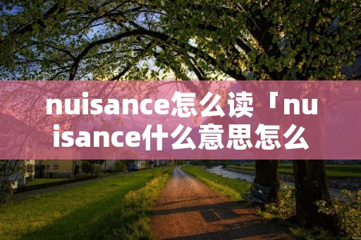 nuisance怎么读「nuisance什么意思怎么读」