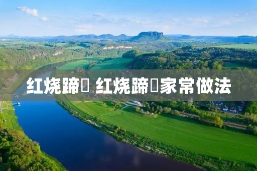 红烧蹄髈 红烧蹄髈家常做法