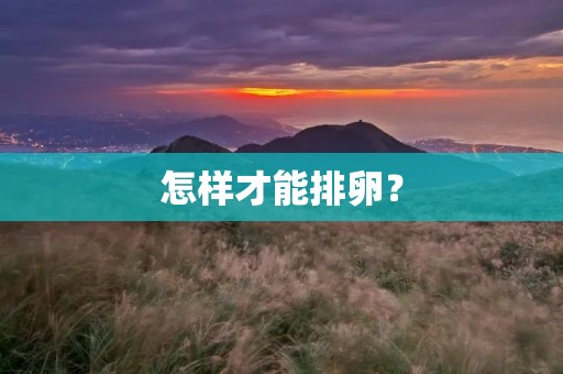 怎样才能排卵? 怎样才能排卵?