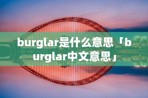 burglar是什么意思「burglar中文意思」