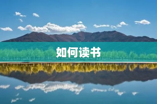 如何读书:掌握阅读技巧,发现自己的阅读乐趣