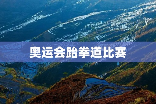 奥运会跆拳道比赛：用力与技巧的较量