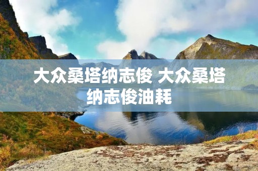 大众桑塔纳志俊 大众桑塔纳志俊油耗 大众桑塔纳志俊 大众桑塔纳志俊油耗