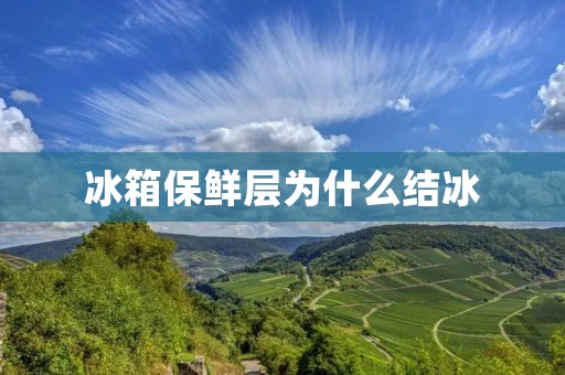 冰箱保鲜层为什么结冰 冰箱保鲜层为什么结冰