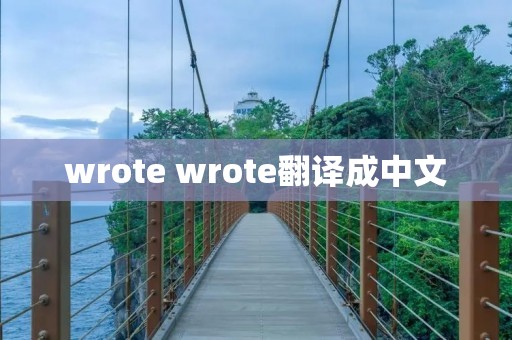 wrote wrote翻译成中文
