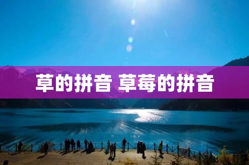 草的拼音 草莓的拼音