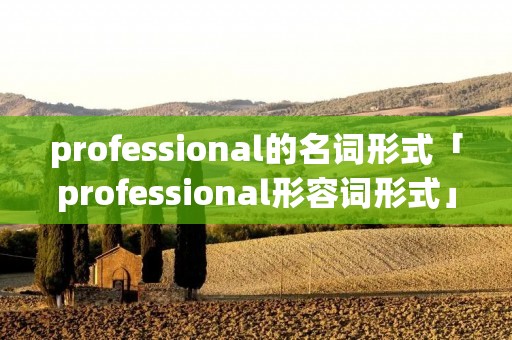 professional的名词形式「professional形容词形式」