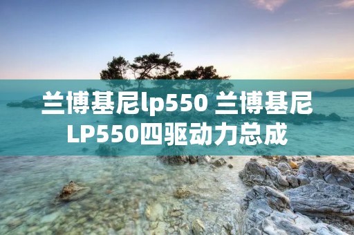 兰博基尼lp550 兰博基尼LP550四驱动力总成