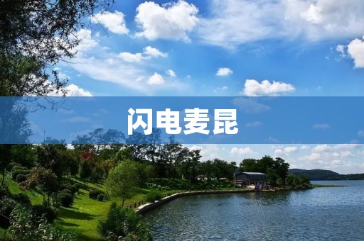 闪电麦昆：音乐与科技的完美结合
