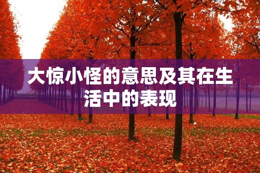 大惊小怪的意思及其在生活中的表现