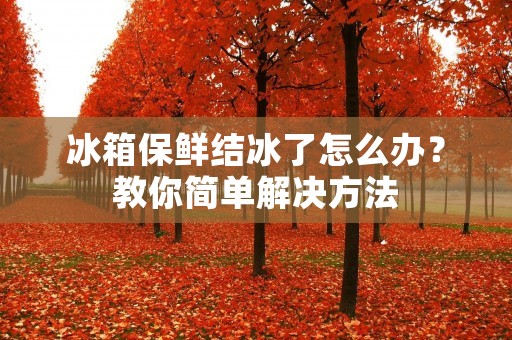 冰箱保鲜结冰了怎么办？教你简单解决方法
