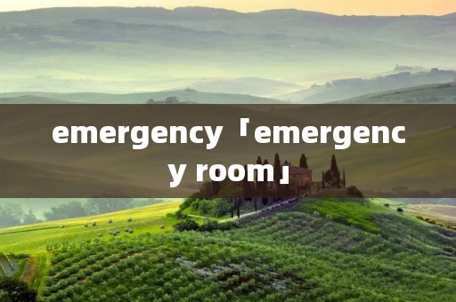 emergency「emergency room」 emergency「emergency room」