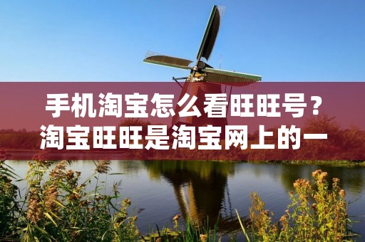 手机淘宝怎么看旺旺号?淘宝旺旺是淘宝网上的一个在线聊天工具,是淘宝买家和卖家之间沟通的主要方式之一。在淘宝上购物时,我们可以通过旺旺与卖家进行沟通,了解商品的具体信息,交流购物事宜等。但是,如何在手机淘宝上看到卖家的旺旺号呢?下面我们将为您介绍手机淘宝怎么看旺旺号的方法。