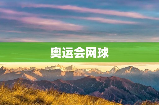 奥运会网球：全球最高水平的赛事