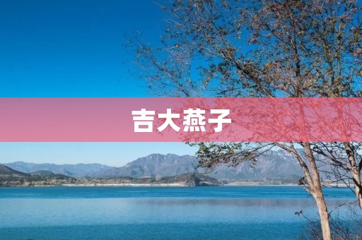 吉大燕子:传承中华文化的艺术之美 吉大燕子:传承中华文化的艺术之美