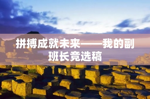 拼搏成就未来——我的副班长竞选稿