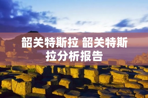 韶关特斯拉 韶关特斯拉分析报告