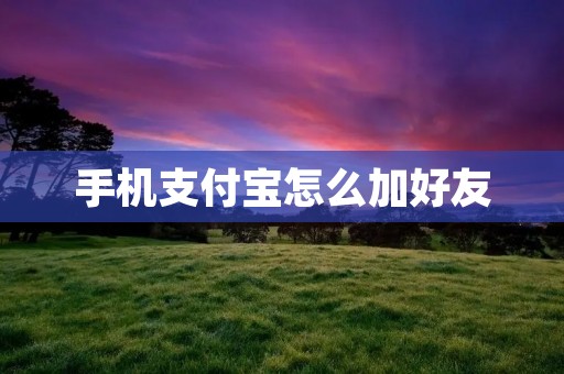 手机支付宝怎么加好友