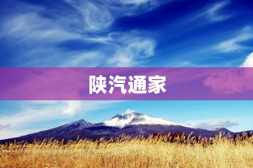 陕汽通家:用品质赢得未来 陕汽通家:用品质赢得未来