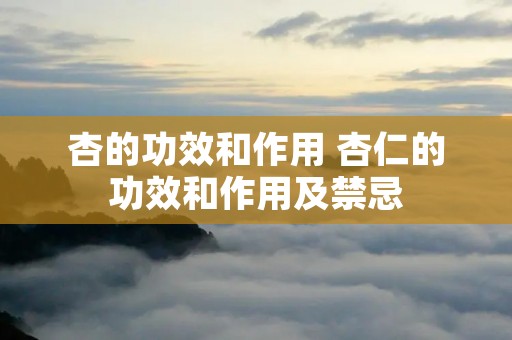杏的功效和作用 杏仁的功效和作用及禁忌