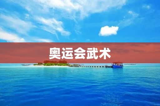 奥运会武术:让传统文化闪耀国际舞台 奥运会武术:让传统文化闪耀国际舞台