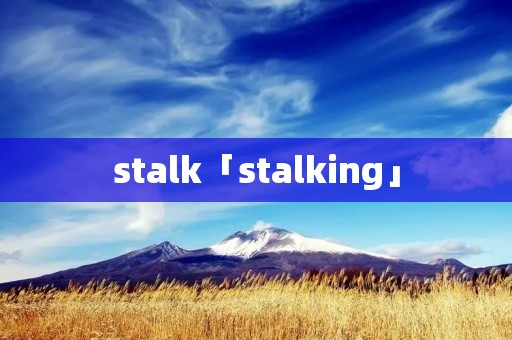 stalk「stalking」