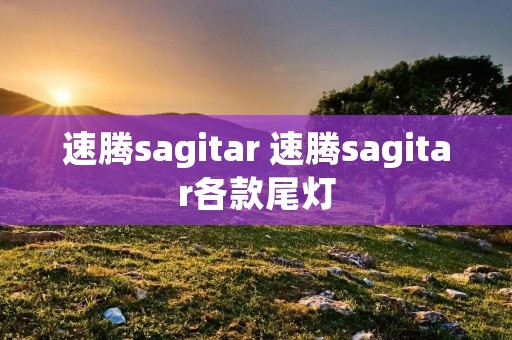 速腾sagitar 速腾sagitar各款尾灯