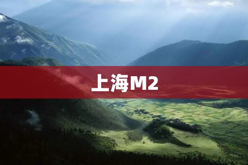 上海M2:城市发展的重要指标 上海M2:城市发展的重要指标