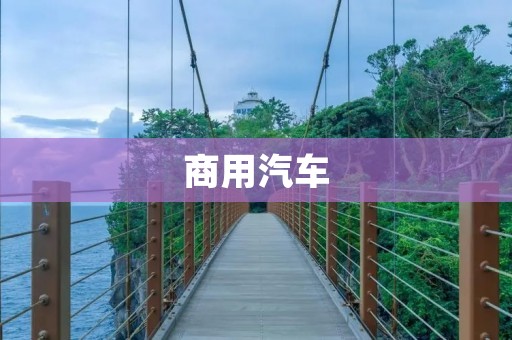 商用汽车:行业发展现状及未来趋势 商用汽车:行业发展现状及未来趋势