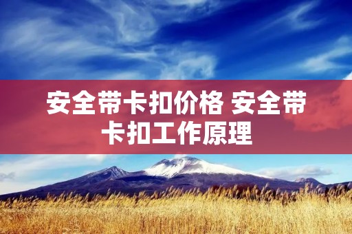 安全带卡扣价格 安全带卡扣工作原理 安全带卡扣价格 安全带卡扣工作原理