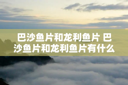 巴沙鱼片和龙利鱼片 巴沙鱼片和龙利鱼片有什么区别
