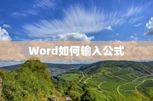 Word如何输入公式