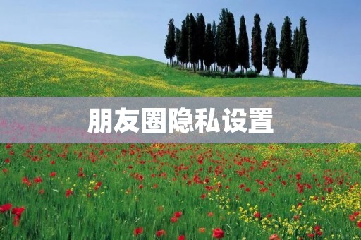 朋友圈隐私设置:如何让内容半年可见?