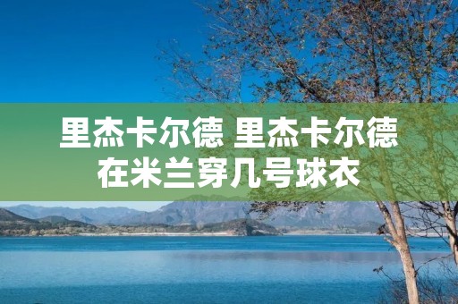 里杰卡尔德 里杰卡尔德在米兰穿几号球衣 里杰卡尔德 里杰卡尔德在米兰穿几号球衣