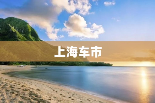 上海车市:市场竞争激烈,消费者需求多元化 上海车市:市场竞争激烈,消费者需求多元化