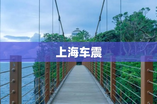 上海车震：当爱情遇上公众道德
