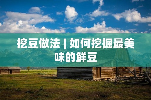 挖豆做法 | 如何挖掘最美味的鲜豆 挖豆做法 | 如何挖掘最美味的鲜豆